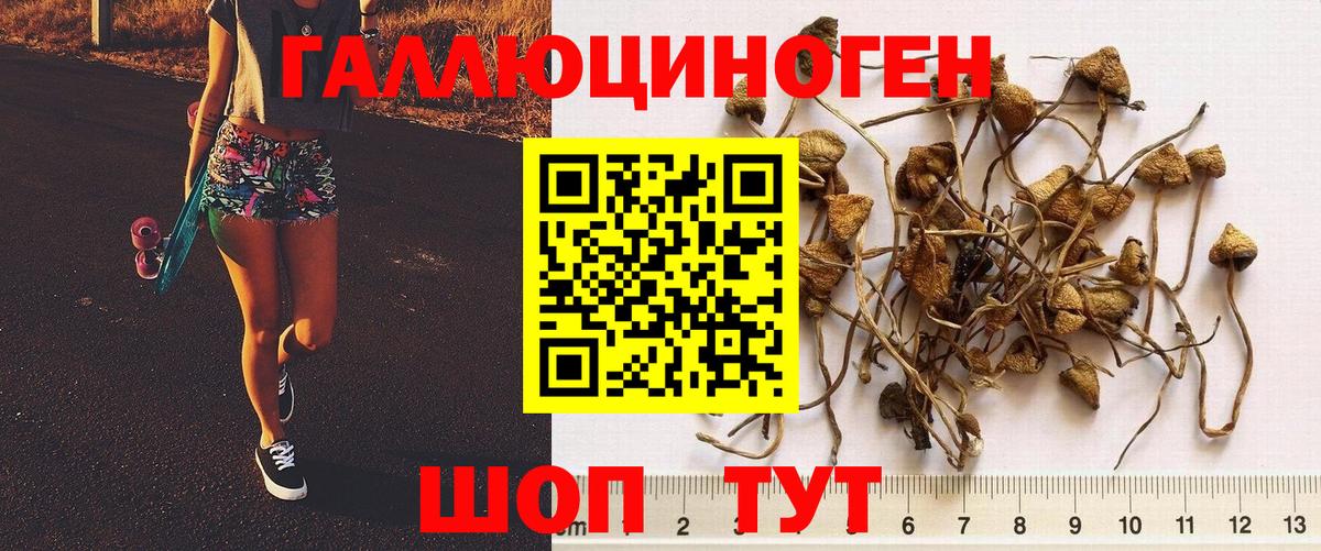 Псилоцибиновые грибы MAGIC MUSHROOMS Грозный
